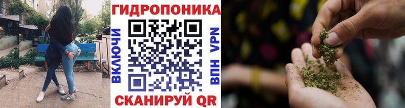 Где продают наркотики Богучар Псилоцибиновые грибы  Бошки Шишки  Меф мяу мяу  Амфетамин  Кокаин  ГАШ  А ПВП 