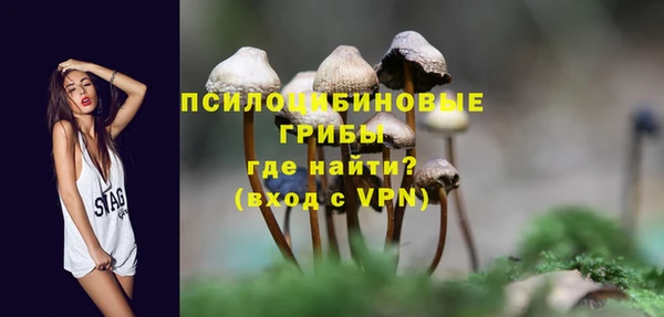 мяу мяу мука Осинники