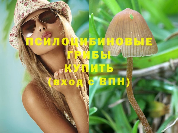 Альфа ПВП Осташков