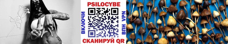 Псилоцибиновые грибы ЛСД Богучар